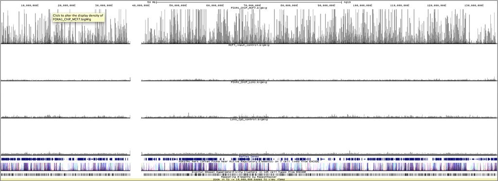 Signal visualization (UCSC) FOXA1
