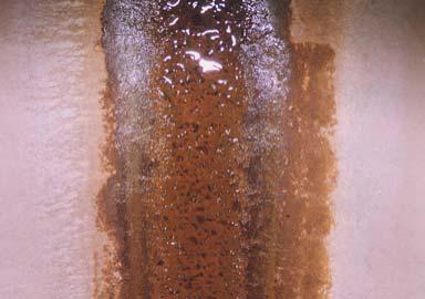 California Field Study Concrete Pipe Results The inside of the concrete pipe shows corrosion to the extent