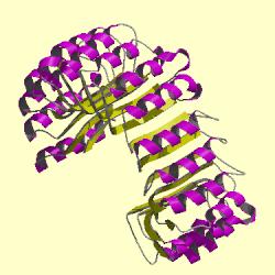 Protein Folding To review, what are the