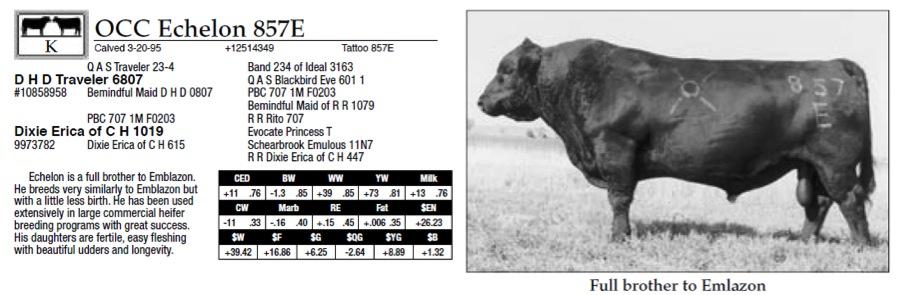effects 33 34 When considering bull decisions. What is the relationship between phenotype and this genomic technology?