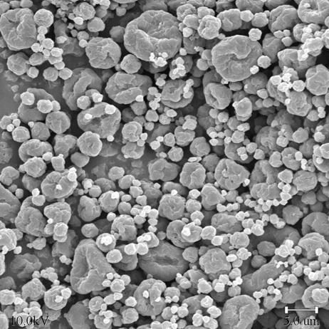 Micro e nanoparticles with biodegradable