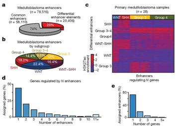 27 Enhancer associated genes Combination: H3K27ac