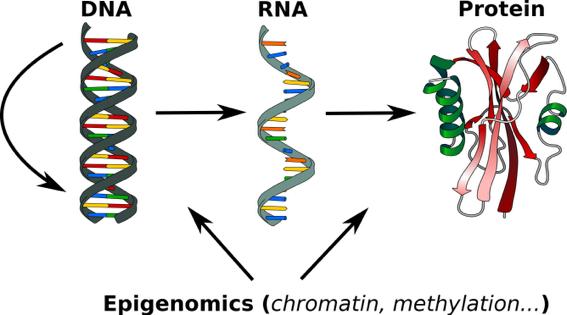 3 Multi-omics origins Main breakthrough in molecular