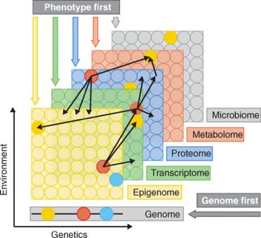 7 Multi-omics approach Integeration of different detected changes : Genotype <-> phenotype Cluster and form groups