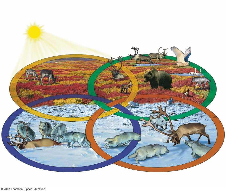 April 7, 2010 26 Four Scientific Principles of Sustainability: Copy Nature