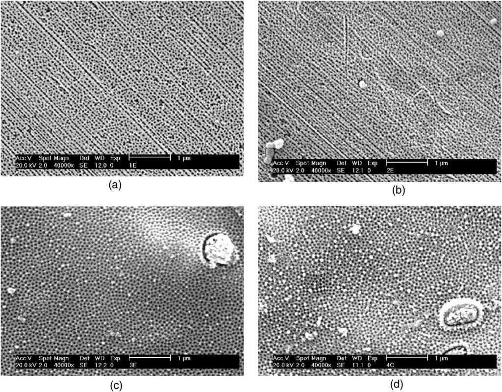 C62 Figure 2. SEM micrographs secondary of PAA from anodized impure aluminum foil in 0.3 M oxalic acid with 4 h second anodization.