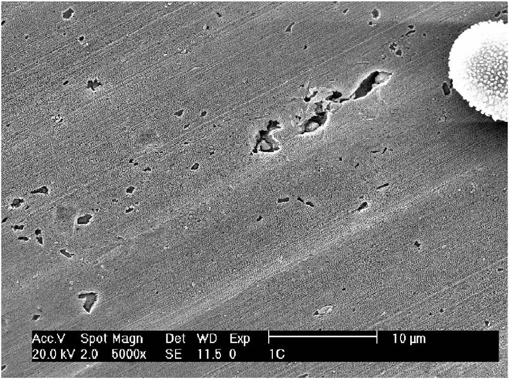 C63 Figure 3. SEM micrograph of top surface of PAA film from impure aluminum foil. Large holes, of micrometer size, are visible on this sample.