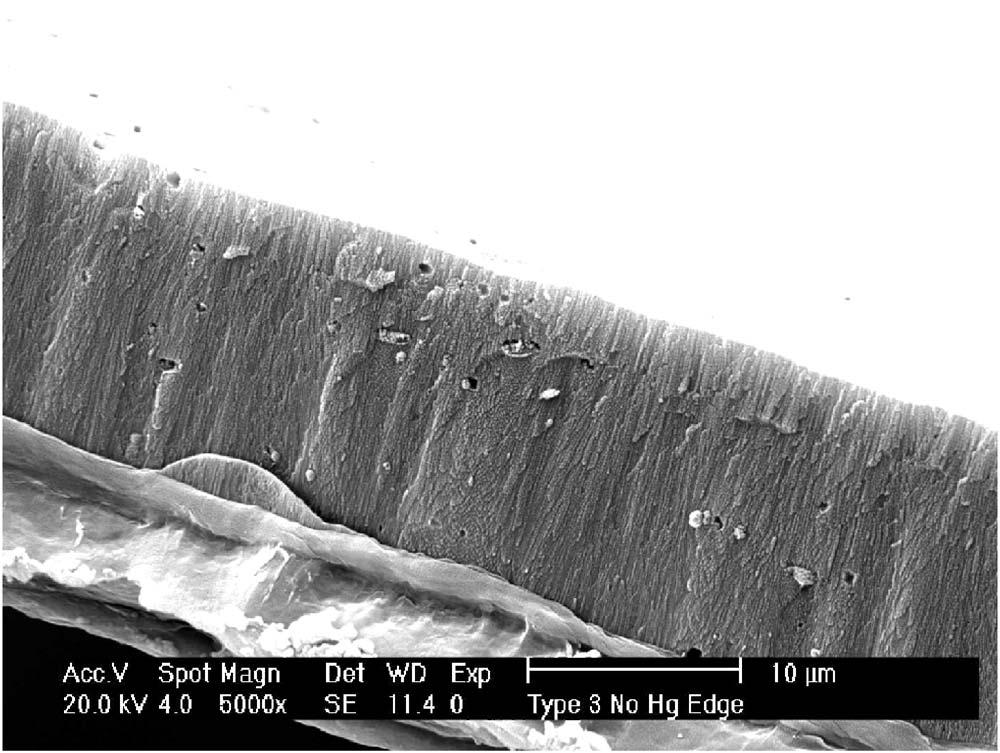 SEM micrograph of cross section of a PAA film still attached to its underlying impure aluminum foil.