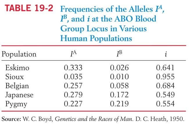 Probabilities, Gene Frequencies and Forensics While a single individual can only have two alleles at any one locus, in a population there can