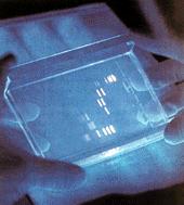 Agarose Gel Electrophoresis Key assumption of this presentation: most of us will continue