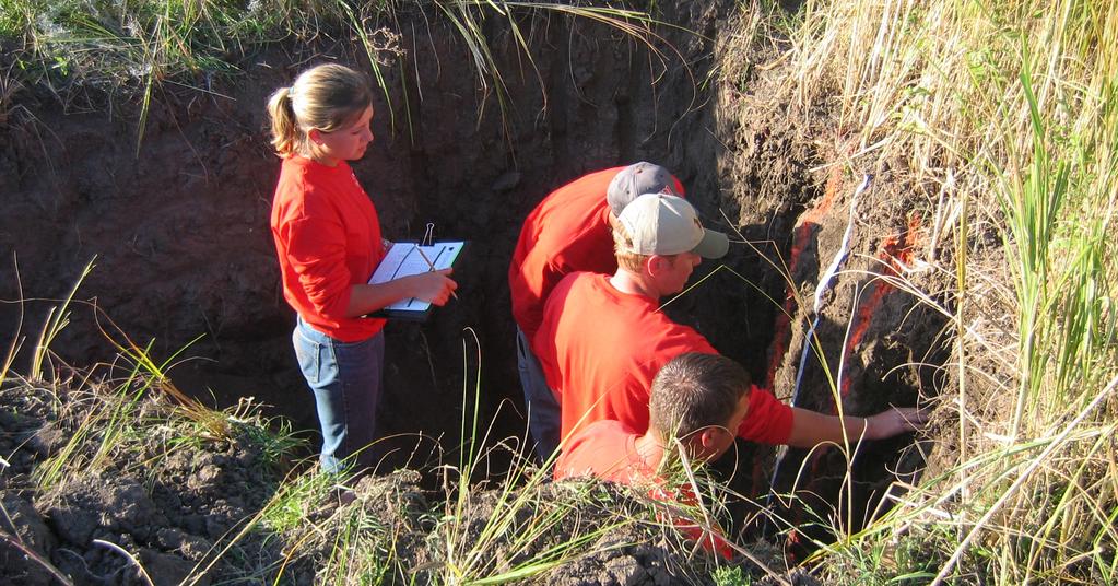 SCHOOL OF NATURAL RESOURCES Soil Science Option Environmental Restoration Science Imagine a career assessing environmental situations, conserving soil, and remediating contaminated areas.