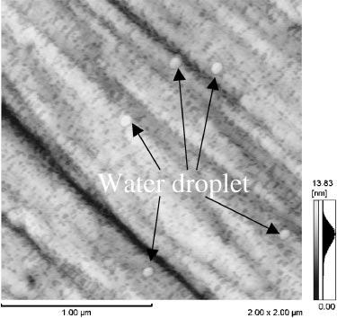 394 R. Wang, M. Kido and N. Morihiro Fig. 8 Surface morphology of the oxidized specimen after ultrasonically keeping in distilled water. macro-droplets, corresponded well to previous reports.