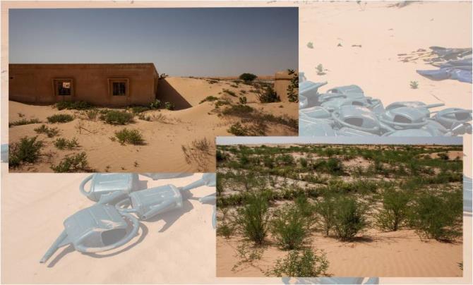 MAURITANIA The Sustainable Land Management Project US$ 4.80 M total GEF: US$ 4.