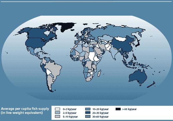 Fish as food: per capita supply (average