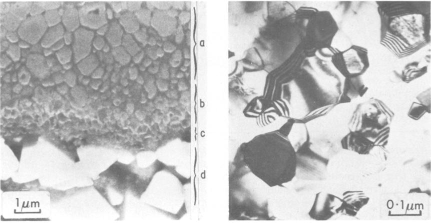 Figure 1 SEM showing TiC coating on cemented carbide substrate. A multi-layer structure may be delineated.