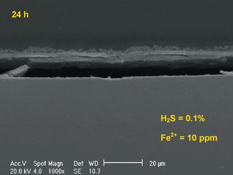 FIGURE 18. Cross section of the layer formed on the X65 steel surface (at 1,000X) under the conditions of 10 vol% H 2 S (CO 2 /H 2 S gas), T = 80 C, ph 6.5~6.6, Fe 2+ = 0 ppm, and Fe 2+ = 10 ppm.