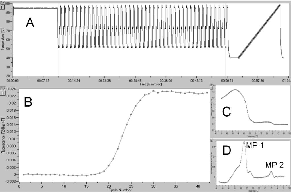 514 KLASCHIK ET AL. J. CLIN. MICROBIOL. FIG. 2. Original registration with an exemplary real-time PCR and melting-curve analysis of P. aeruginosa (measured at 640 nm [F2]).