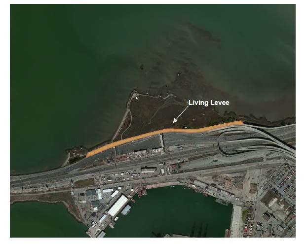 Near-term = local shoreline response Immediate: fortify low spots along Radio Road, have portable