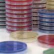Vogel-Johnson Agar You will need to order both products shown below: Potassium Tellurite 3.