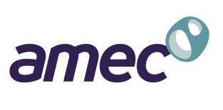 Consultants: AMEC: Assessment and