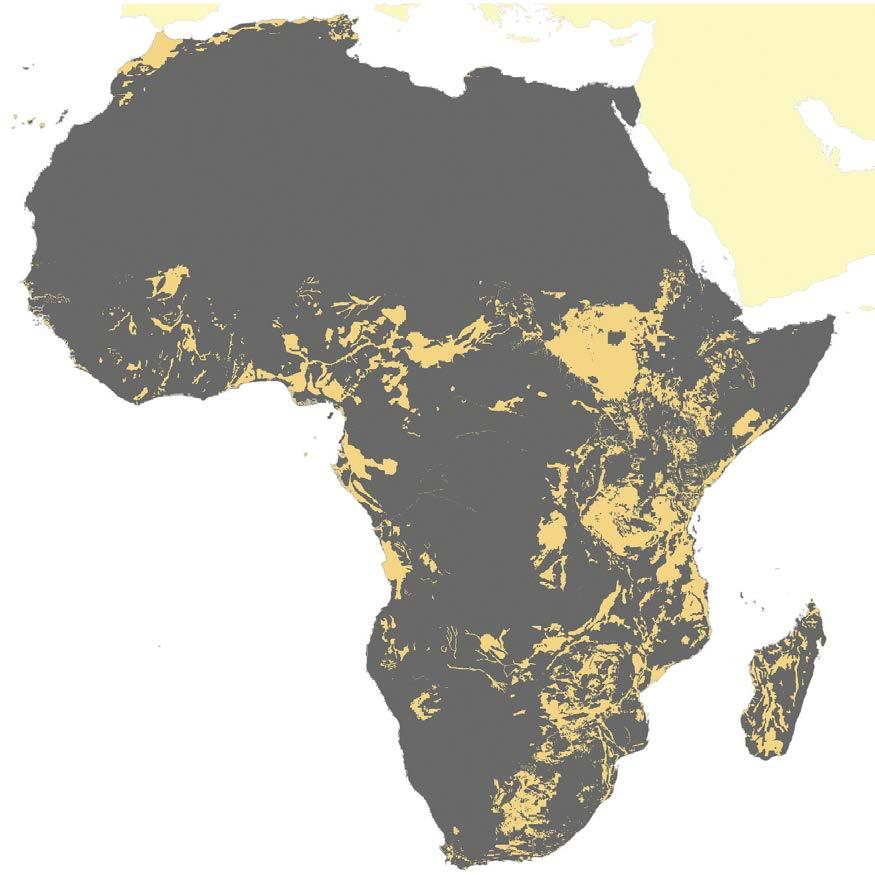 Constraints for African