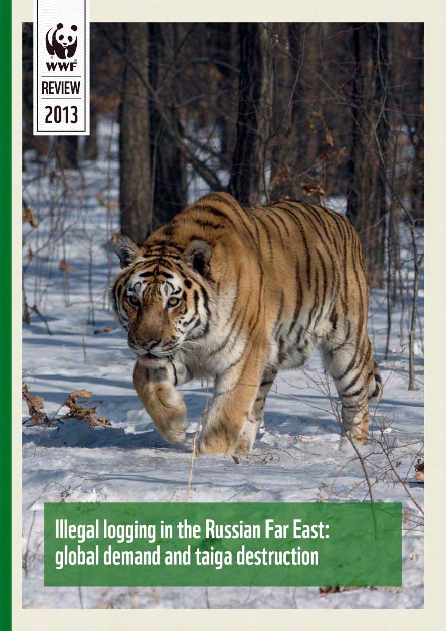Illegal logging in the Russian Far East Recent report by
