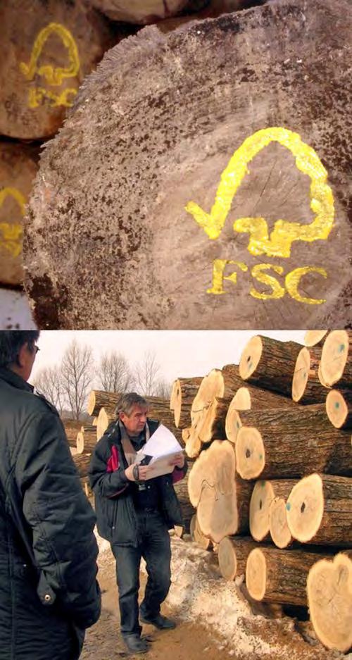 How to evaluate and address risks and source responsibly Option 1: Buy FSC-certified products.