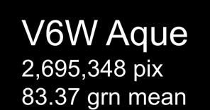 V6W Aque 2,695,348