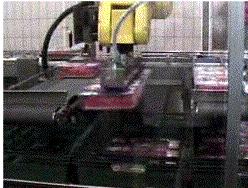 filling Pick & place robot Automatic tote filling