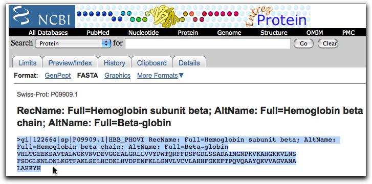 4. The FASTA page presents the amino acid sequence of the protein in a coded format using single letters to represent each of the 20 amino acids (A=alanine, M=methionine, P=proline, etc.