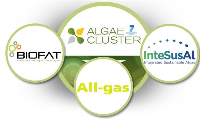 The Algae Cluster: Three European algae biofuel projects with a