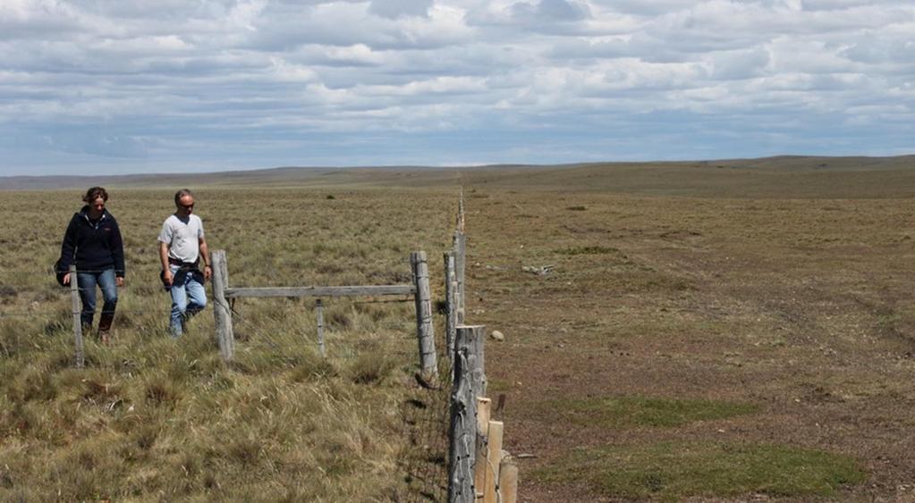Patagonia-Fence line contrast with neighbor ranch after 5000 lambing