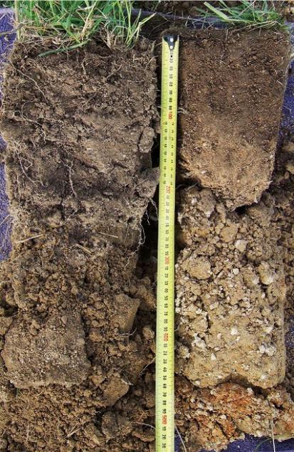 Soil health differences due to management High density