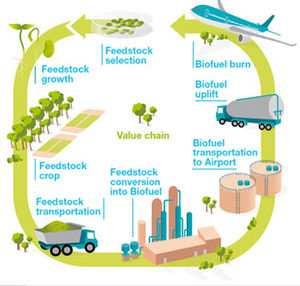 the potentialof bioenergy Reliable bioenergy value chains from