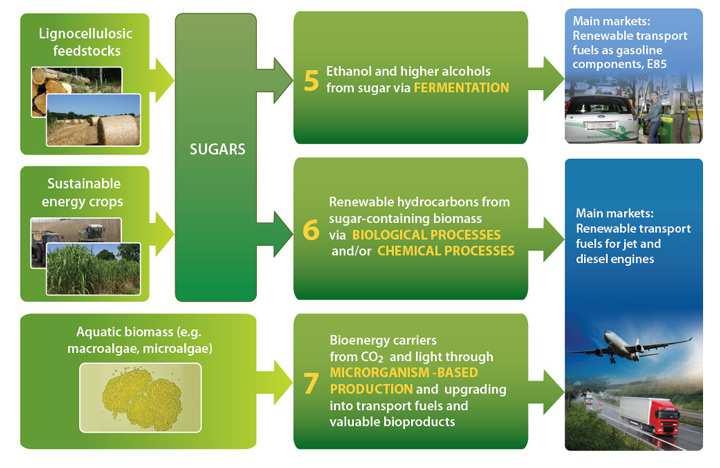 biofuel/bioenergy large scale Horizon 2020 EU contribution to bioenergy / advanced biofuels