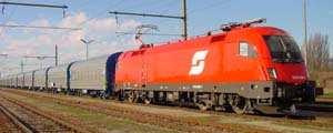 5 International focus of RCA 565 daily trains in cooperation with neighbour railway undertakings 82