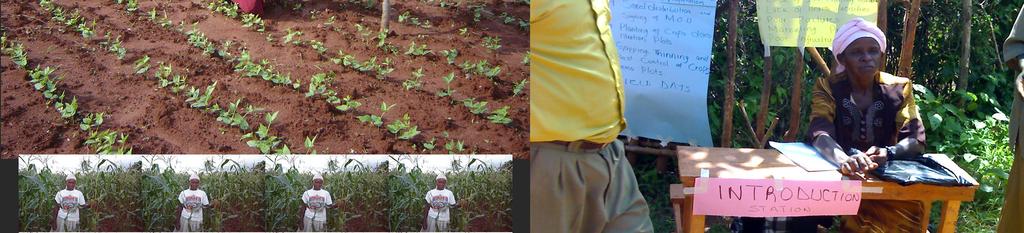 agronomic practices by