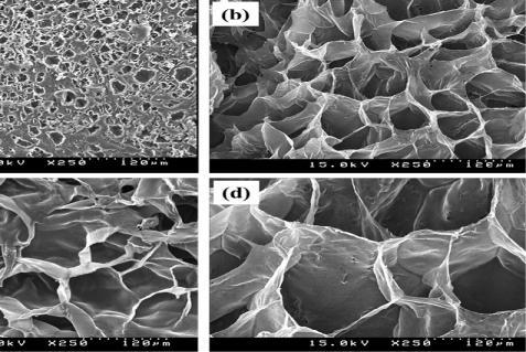 The in vitro cytotoxicity results demonstrated that HPG/PEO hydrogel scaffolds exhibited good cell viability and low cytotoxicity, as expected from the materials. Fig 5.