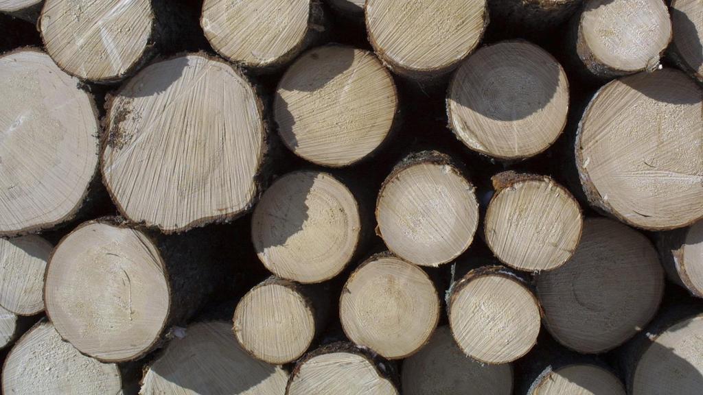 Wood Supply and