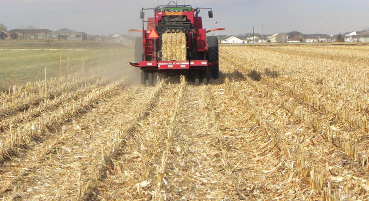 Options for mnging residue: Rotting crops Spreding evenly Removl by biling Moving residue to dry rows or pushing to the side Grzing Figure 2.