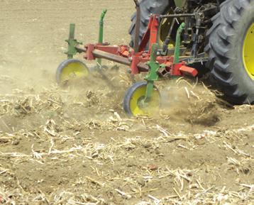 Once residue is sized, it cn be moved into non-irrigted row (in every other row irrigtion) or pushed to the side of the beds with ditcher, cultivtor, or row clener (Figure 4).