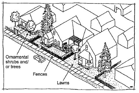 SITE DESIGN 4 B. Fences and hedges Prevent the installation of intrusive, nontraditional fences and tall hedges that cut the views of structures from the street. 1.