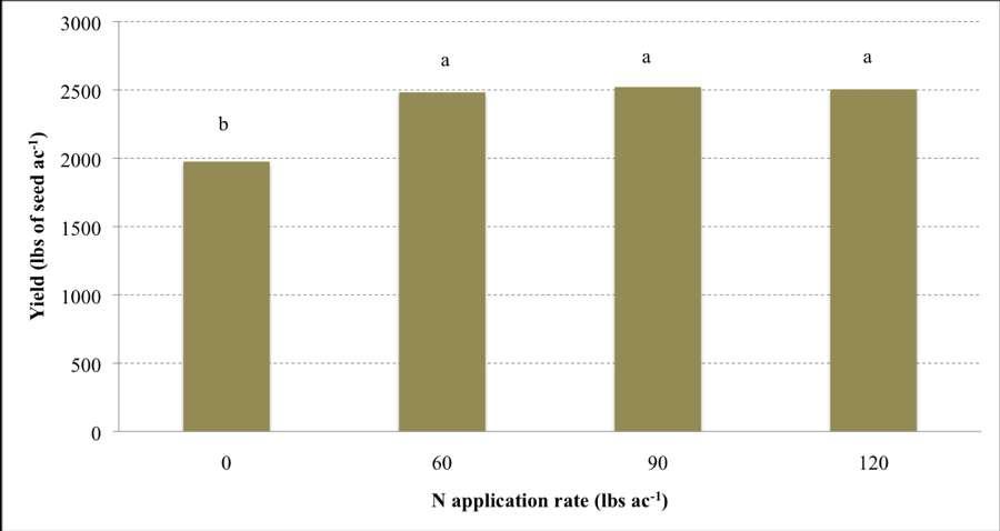seeding rate of 34,000 seeds per acre is required. Figure 1. Yield of sunflower seed as affected by N application rate.
