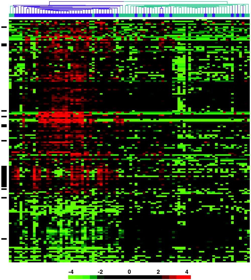 Expression data Gene expression: Translation of DNA protein encoding into