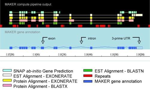 Types of analysis in bioinformatics Genome annotation Marking genes and other biological features in a DNA sequence