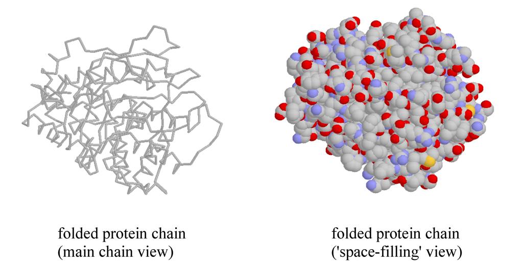 structure Molecular interaction Docking