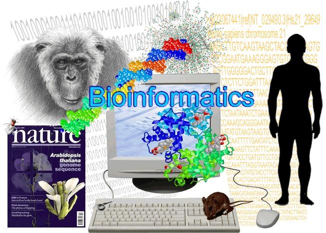 Bioinformatics What is bioinformatics?