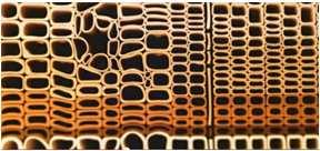 lastnosti papirjev, zmožnost tiskanja, antimikrobne lastnosti Celulozna nanovlaknana površini nitk lesne pulpe.