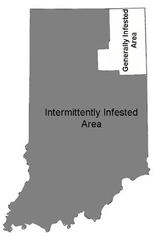 2 The Generally Infested and the Intermittently Infested Areas Indiana is divided into two regulatory areas regarding EAB: the Generally Infested Area and the Intermittently Infested Area.