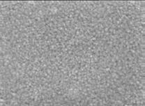 100 nm 600 C nanocrystalline spray pyrolysis film after annealing on-going